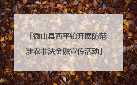 微山县西平镇开展防范涉农非法金融宣传活动