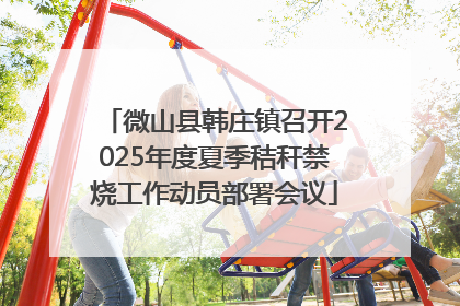 微山县韩庄镇召开2025年度夏季秸秆禁烧工作动员部署会议