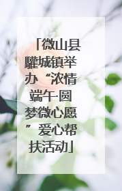 微山县驩城镇举办“浓情端午·圆梦微心愿”爱心帮扶活动