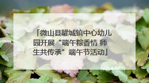 微山县驩城镇中心幼儿园开展“端午粽香情 师生共传承”端午节活动