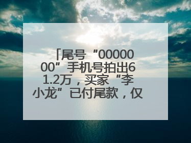 尾号“0000000”手机号拍出61.2万，买家“李小龙”已付尾款，仅享有使用权