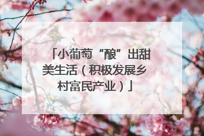 小葡萄“酿”出甜美生活（积极发展乡村富民产业）