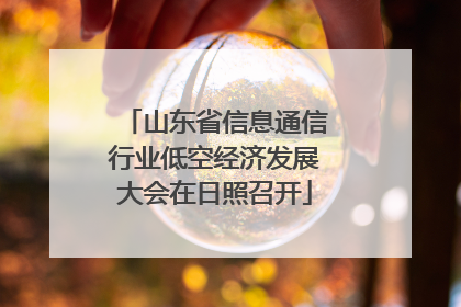 山东省信息通信行业低空经济发展大会在日照召开