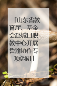 山东省教育厅、基金会赴城口职教中心开展鲁渝协作专项调研