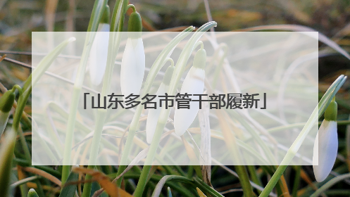 山东多名市管干部履新