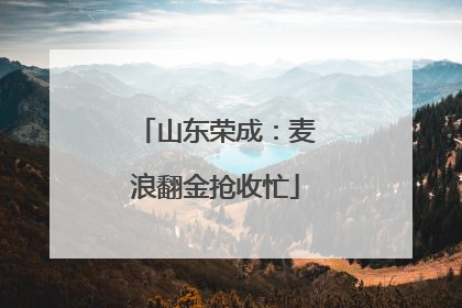 山东荣成：麦浪翻金抢收忙