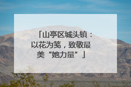 山亭区城头镇：以花为笺，致敬最美“她力量”