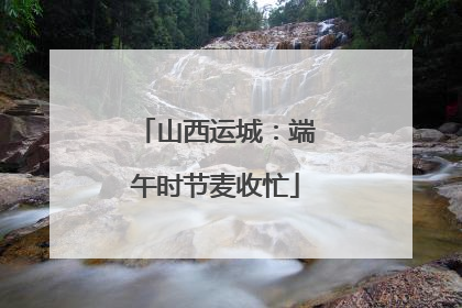 山西运城：端午时节麦收忙