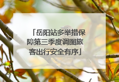 岳阳站多举措保障第三季度调图旅客出行安全有序