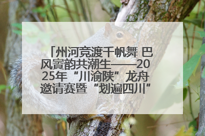 州河竞渡千帆舞 巴风賨韵共潮生——2025年“川渝陕”龙舟邀请赛暨“划遍四川”达川站圆满收官