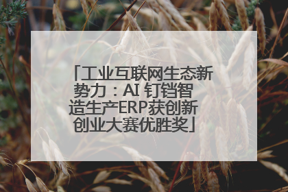 工业互联网生态新势力：AI 钉铛智造生产ERP获创新创业大赛优胜奖