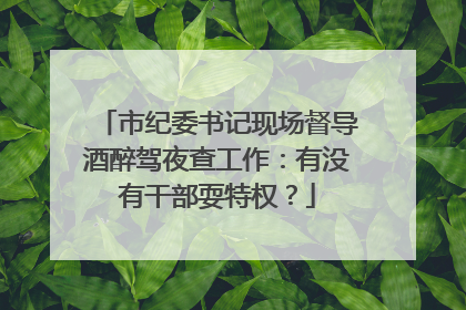 市纪委书记现场督导酒醉驾夜查工作：有没有干部耍特权？