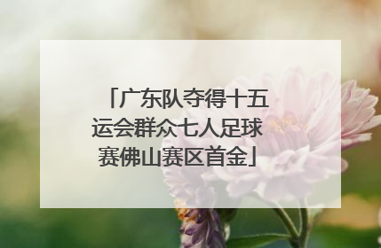 广东队夺得十五运会群众七人足球赛佛山赛区首金