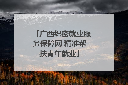 广西织密就业服务保障网 精准帮扶青年就业