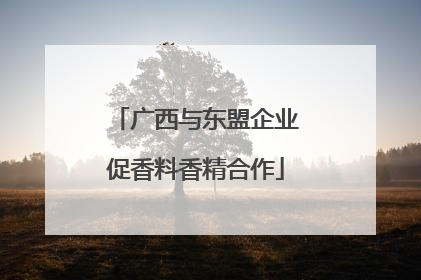 广西与东盟企业促香料香精合作