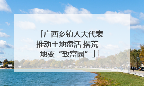 广西乡镇人大代表推动土地盘活 撂荒地变“致富园”