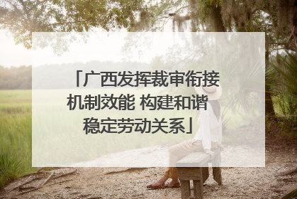 广西发挥裁审衔接机制效能 构建和谐稳定劳动关系