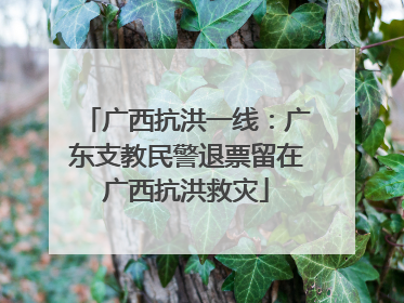 广西抗洪一线：广东支教民警退票留在广西抗洪救灾