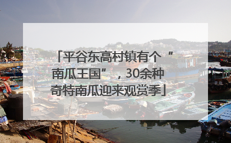 平谷东高村镇有个“南瓜王国”，30余种奇特南瓜迎来观赏季
