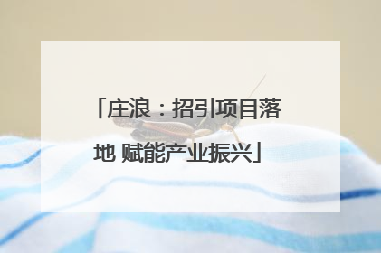 庄浪：招引项目落地 赋能产业振兴