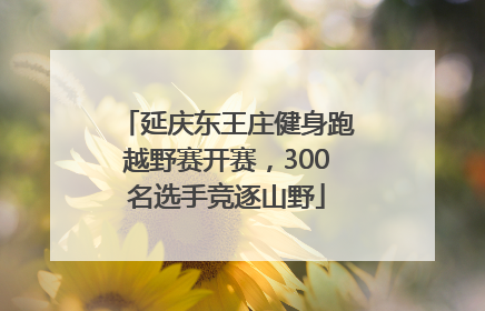 延庆东王庄健身跑越野赛开赛，300名选手竞逐山野