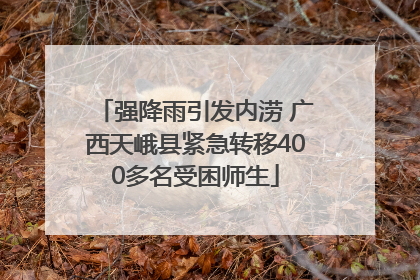 强降雨引发内涝 广西天峨县紧急转移400多名受困师生