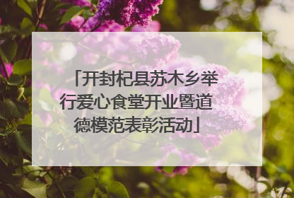 开封杞县苏木乡举行爱心食堂开业暨道德模范表彰活动