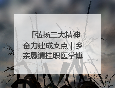 弘扬三大精神 奋力建成支点｜乡亲恳请挂职医学博士再留一年