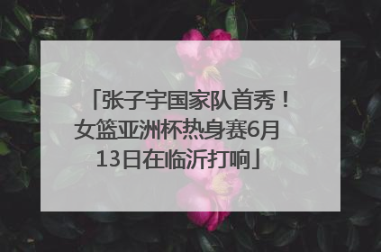 张子宇国家队首秀！女篮亚洲杯热身赛6月13日在临沂打响
