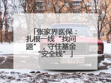 张家界医保：扎根一线“找问题”，守住基金“安全线”