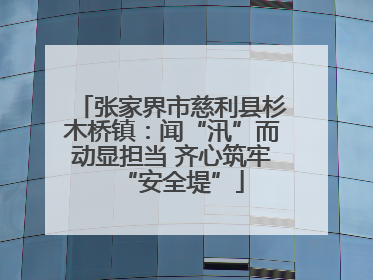 张家界市慈利县杉木桥镇：闻“汛”而动显担当 齐心筑牢“安全堤”