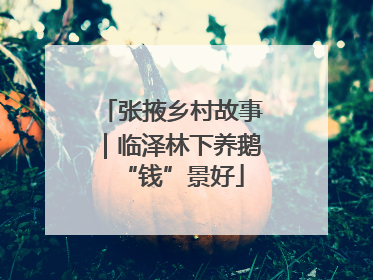 张掖乡村故事｜临泽林下养鹅“钱”景好