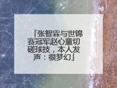 张智霖与世锦赛冠军赵心童切磋球技，本人发声：很梦幻