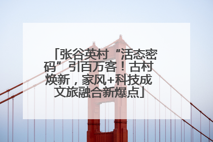 张谷英村“活态密码”引百万客！古村焕新，家风+科技成文旅融合新爆点