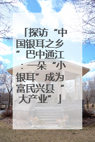 探访“中国银耳之乡”巴中通江：一朵“小银耳”成为富民兴县“大产业”