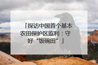 探访中国首个基本农田保护区监利：守好“饭碗田”