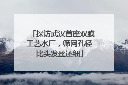 探访武汉首座双膜工艺水厂，筛网孔径比头发丝还细