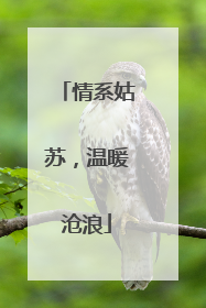 情系姑苏，温暖沧浪