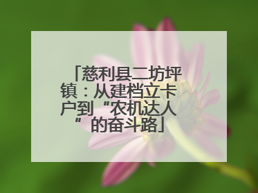 慈利县二坊坪镇：从建档立卡户到“农机达人”的奋斗路