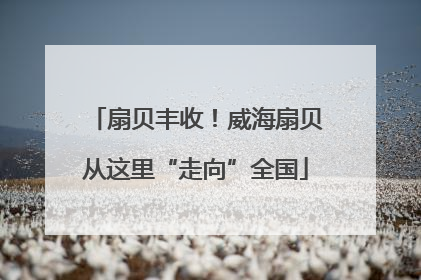 扇贝丰收！威海扇贝从这里“走向”全国