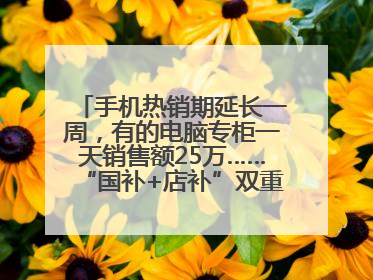 手机热销期延长一周，有的电脑专柜一天销售额25万……“国补+店补”双重优惠点燃德州“考后经济”