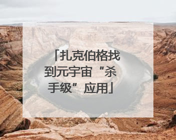 扎克伯格找到元宇宙“杀手级”应用