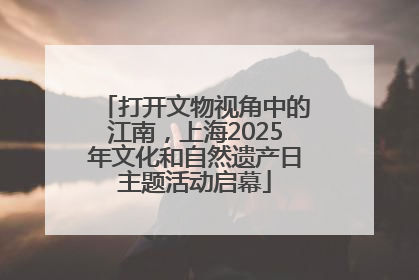 打开文物视角中的江南，上海2025年文化和自然遗产日主题活动启幕