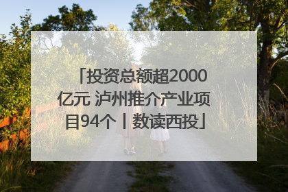 投资总额超2000亿元 泸州推介产业项目94个丨数读西投