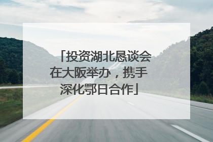 投资湖北恳谈会在大阪举办，携手深化鄂日合作