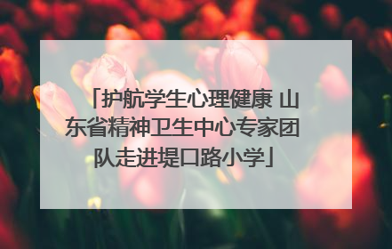 护航学生心理健康 山东省精神卫生中心专家团队走进堤口路小学