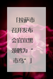 拉萨市召开发布会官宣黑颈鹤为“市鸟”
