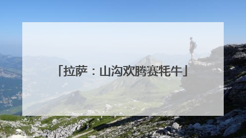 拉萨：山沟欢腾赛牦牛