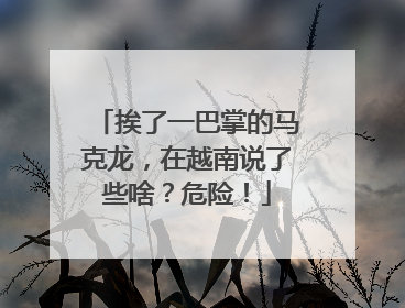 挨了一巴掌的马克龙，在越南说了些啥？危险！