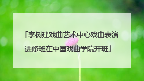 李树建戏曲艺术中心戏曲表演进修班在中国戏曲学院开班